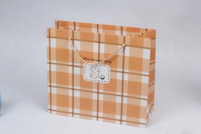 Luxury Card Paper Carrier Bag